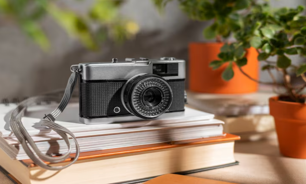 책 위에 올려진 빈티지 카메라와 식물 인테리어 이미지