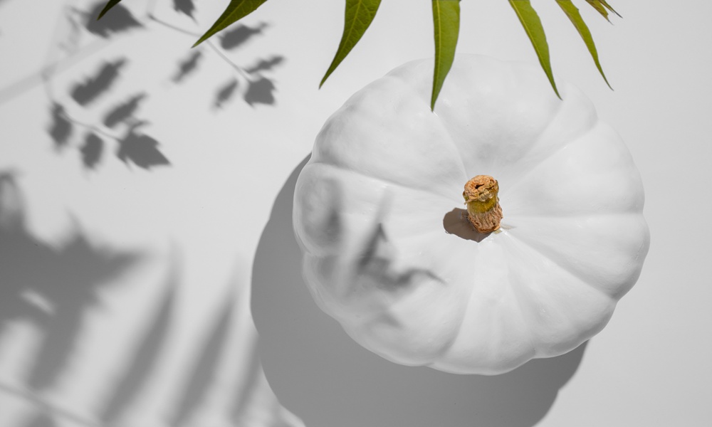 화이트 호박과 그림자 이미지